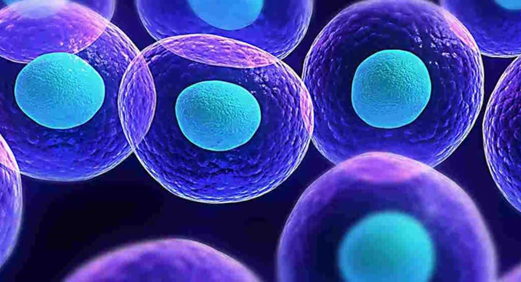 terapia nutricion celular